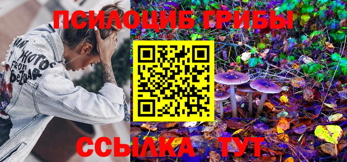 Саратов  Псилоцибиновые грибы Psilocybe  Вход с VPN 