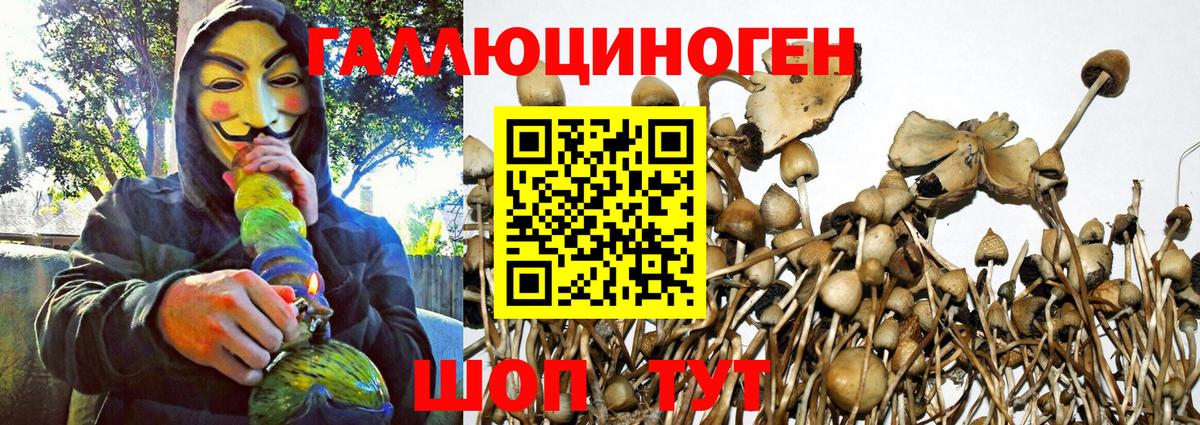 Галлюциногенные грибы мицелий Саратов