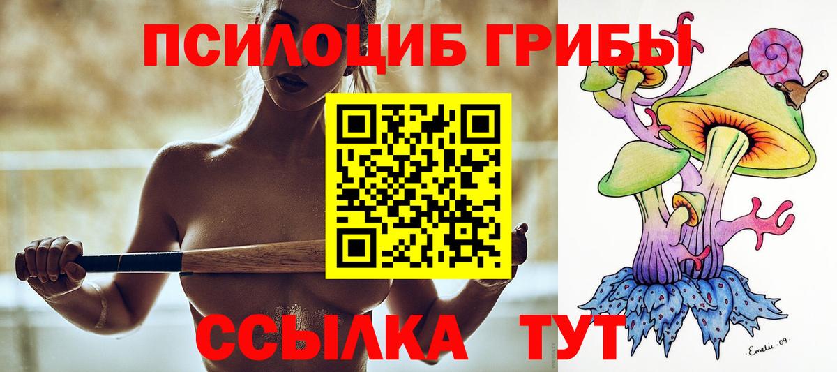 Псилоцибиновые грибы мицелий Саратов