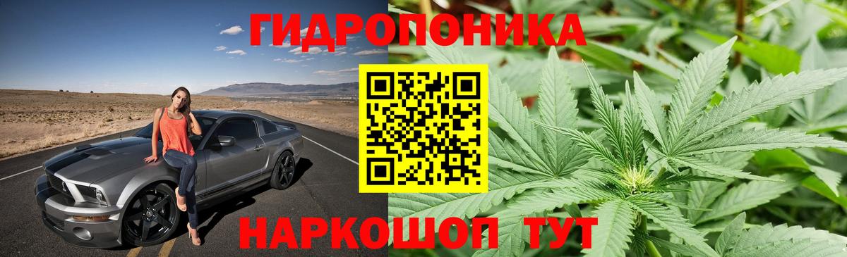 Бошки марихуана семена Саратов